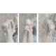 Garden Cat Dream Dance Vest, Skirt, JSK and FS(Pre-Made/Full Payment Without Shipping)
